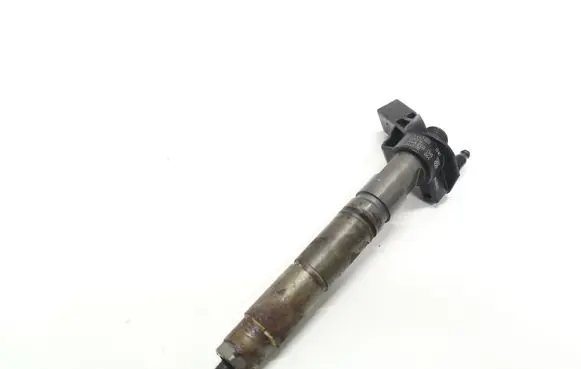Mercedes-Benz ML W164 Fuel injector A6420701387 0445115064