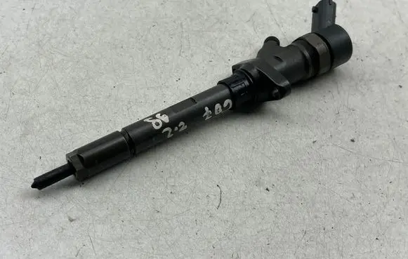 Peugeot 607 Fuel injector 0445110036