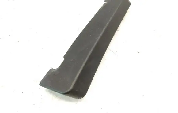 Rear/tail light trim molding