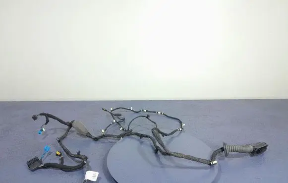 BMW X5 E53 Other wiring loom 8779803