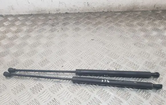 Peugeot 206 Tailgate/trunk strut/damper 9631441380