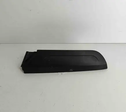 Rear/tail light trim molding