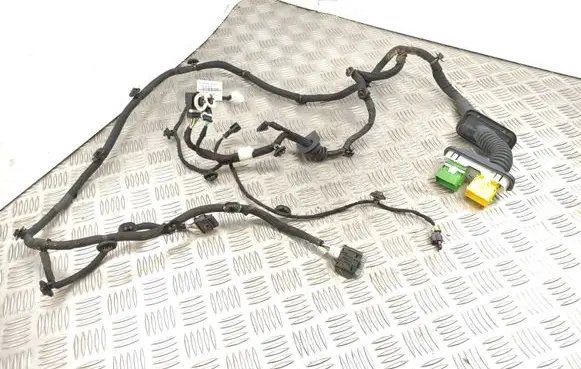 Citroen C4 III e-C4 Front door wiring loom 9640883980 35380