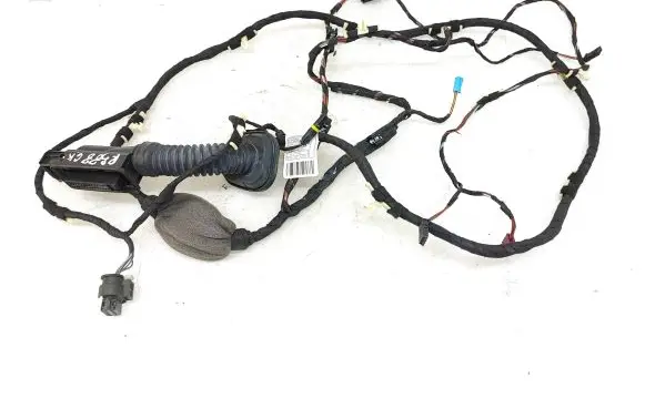 Rear door wiring loom