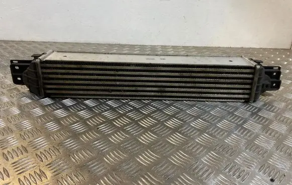 Opel Antara Intercooler radiator 96629070 622155