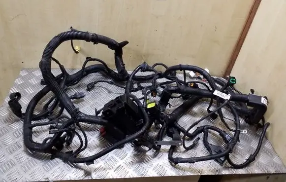 Engine installation wiring loom