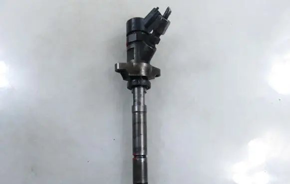Peugeot Partner Fuel injector 0445110239