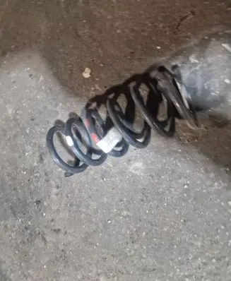 Rear coil spring
