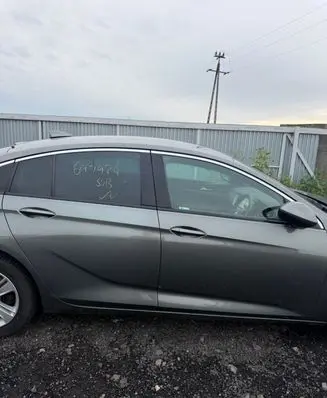 Opel Insignia B Front door