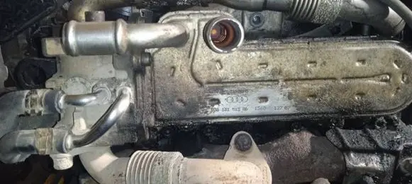 Seat Toledo III (5P) EGR valve cooler 038131513AD 03G131063E