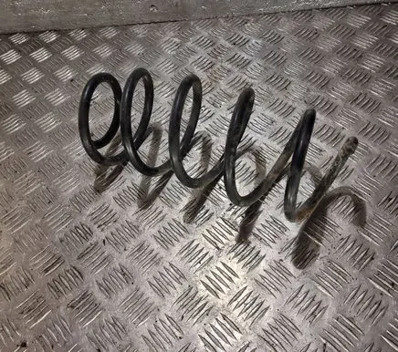 Volkswagen PASSAT B6 Front coil spring