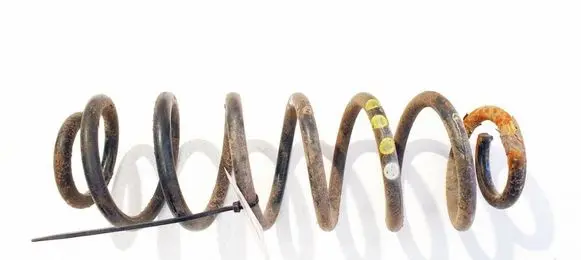 Rear coil spring