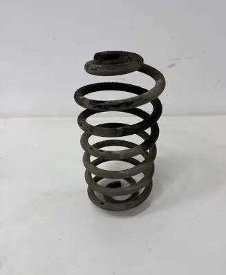 Rear coil spring