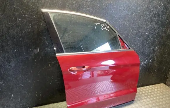 Ford S-MAX Front door