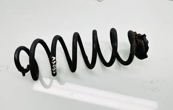 Rear coil spring