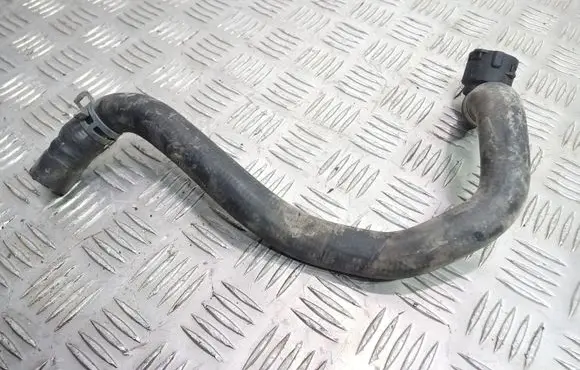 Volkswagen PASSAT B5 Engine coolant pipe/hose