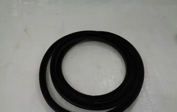 Peugeot 508 Front door rubber seal 9025GT