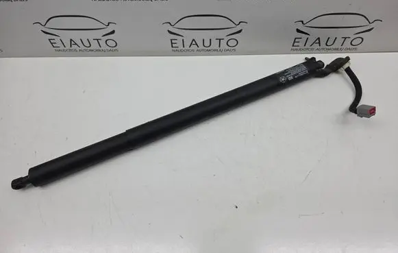 Tailgate/trunk strut/damper