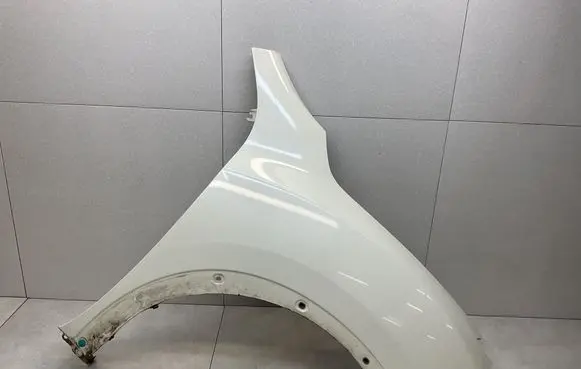 Nissan Juke I F15 Fender 