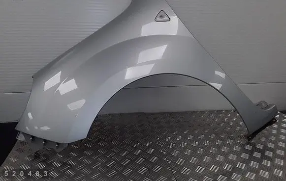 Renault Kangoo II Fender 