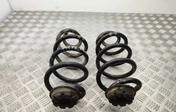 Nissan Qashqai Rear coil spring