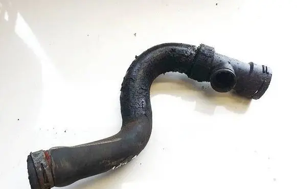 Skoda Superb B5 (3U) Engine coolant pipe/hose 