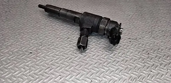 Peugeot 206 Fuel injector 9641496180 0445110075