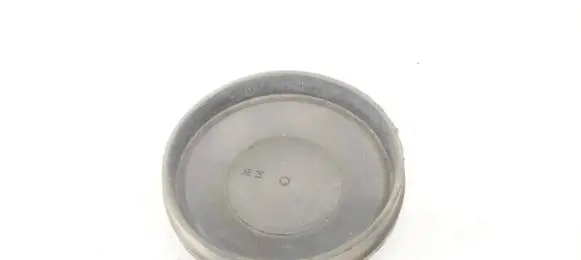 Volkswagen PASSAT B5 Headlight/headlamp dust cover 153874