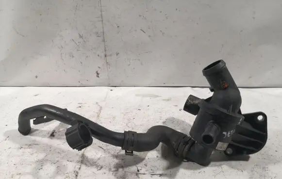 Thermostat/thermostat housing