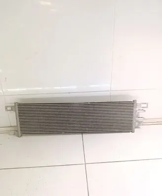 Ford Kuga III Coolant radiator LX617A095BC0977 LX617A095B