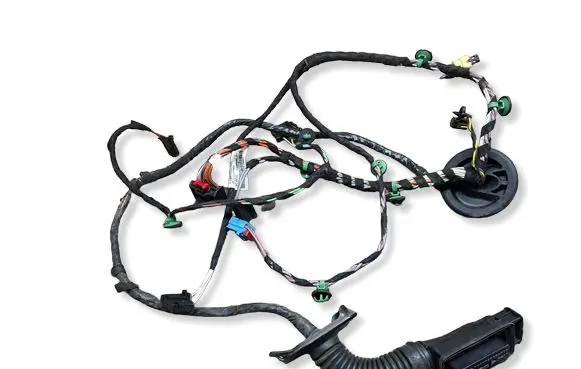 Volkswagen PASSAT B8 Front door wiring loom 3G1971120M
