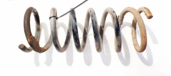 Ford S-MAX Rear coil spring