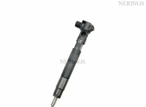Jeep Compass Fuel injector HRD348