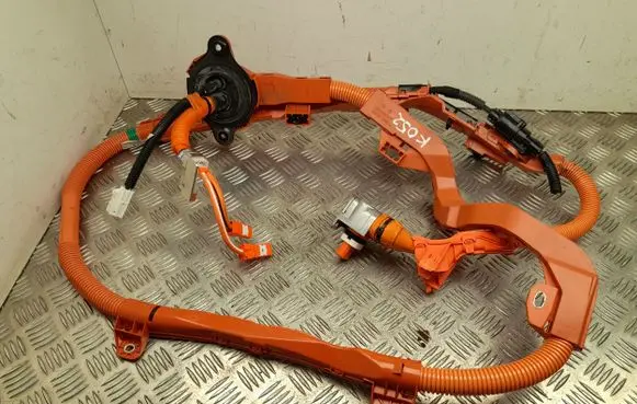 Lexus ES VII XZ10 Other wiring loom 821H133030
