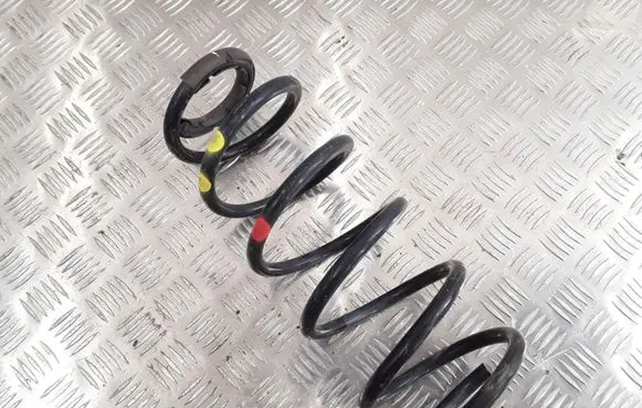 Peugeot 407 Front coil spring
