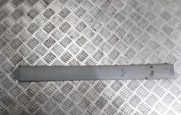 Ford Tourneo Rear door trim (molding) 3T16V29077A