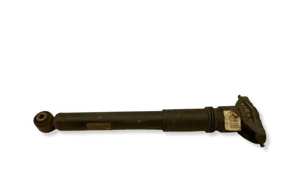 Citroen C4 III e-C4 Rear shock absorber/damper 9824423480