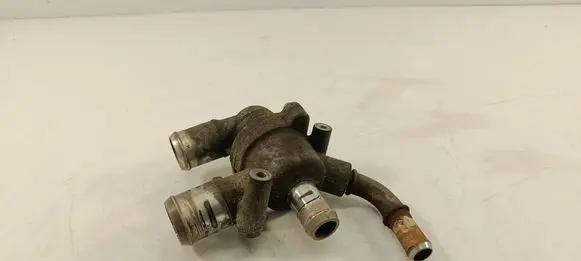 Thermostat/thermostat housing