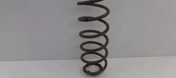 Ford Fusion Rear coil spring