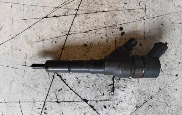 Peugeot 406 Fuel injector 0445110062