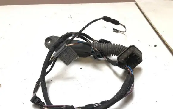 Rear door wiring loom