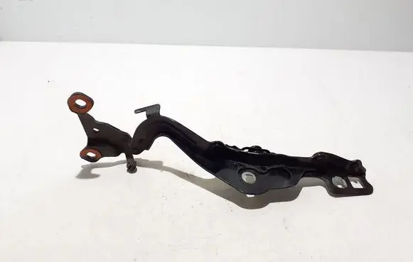 Ford Mach-E I Engine bonnet/hood hinges LJ8BR16C964AE