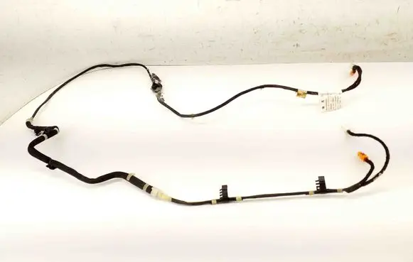 Other wiring loom