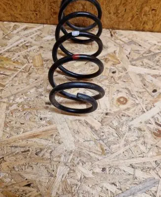 Rear coil spring
