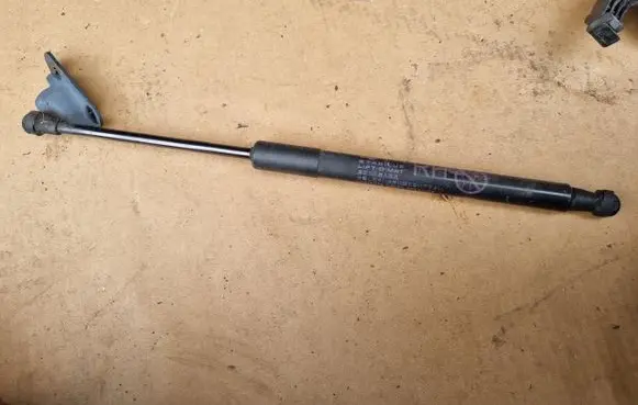 Tailgate strut