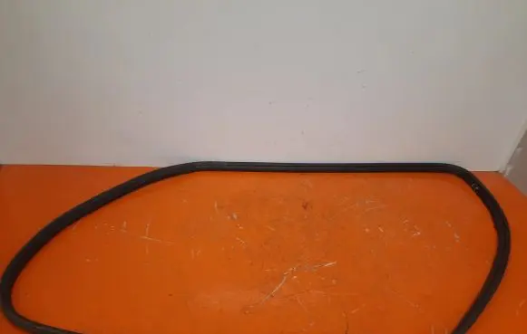 Fiat Punto (199) Front door rubber seal 