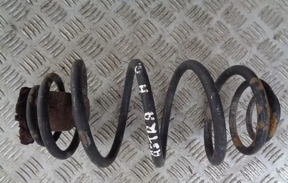 Rear coil spring