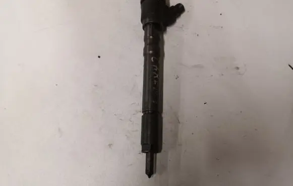 KIA Carens I Fuel injector 0445110064