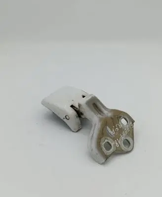 Rear door lower hinge
