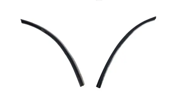 Dodge Charger Rubber seal front door (on door)